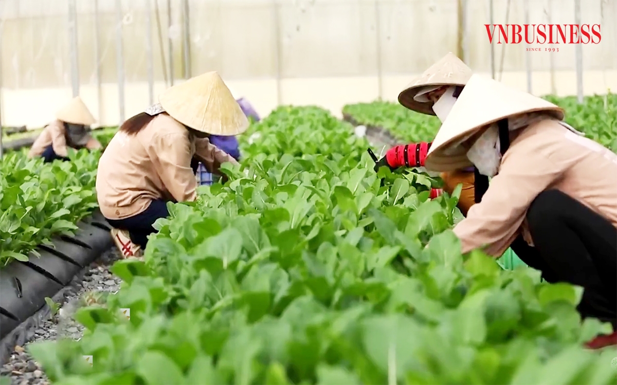 Vào HTX, người dân tộc thiểu số ở miền núi huyện Tương Dương không còn ngại đổi mới, ứng dụng khoa học công nghệ.