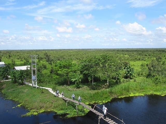 Ngành du lịch Kiên Giang đã góp phần vào công công cuộc xóa đói, giảm nghèo của tỉnh.