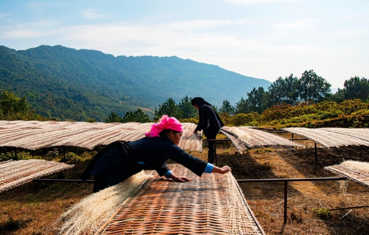 Miến dong của các HTX ở Cao Bằng tiêu thụ khá thuận lợi nhờ TMĐT.