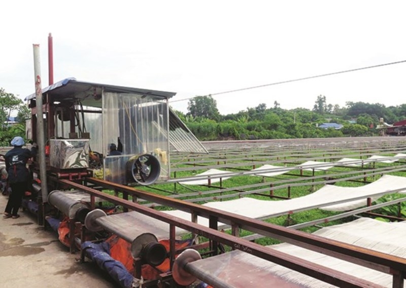 HTX miến Việt Cường đầu tư dây chuyền hiện đại để sản xuất miến, nâng cao hiệu quả và chất lượng sản phẩm.