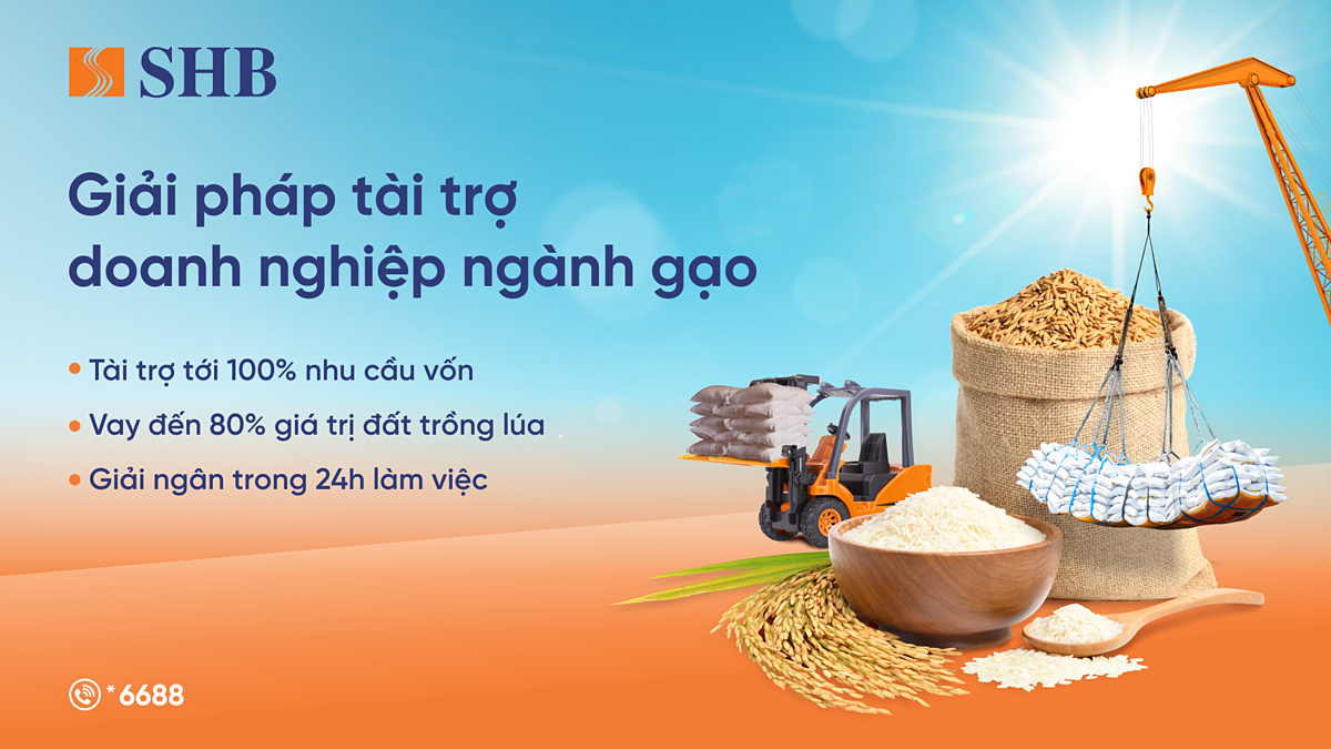 Giải pháp tài trợ doanh nghiệp ngành gạo của SHB.