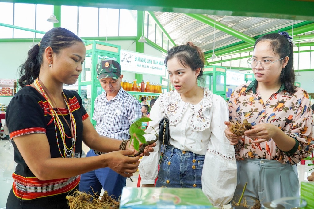 Chị Hồ Thị Mười, người dân tộc Ca Dong, Giám đốc HTX Cộng đồng Ngọc Linh, giới thiệu sản phẩm sâm Ngọc Linh đến với người tiêu dùng.