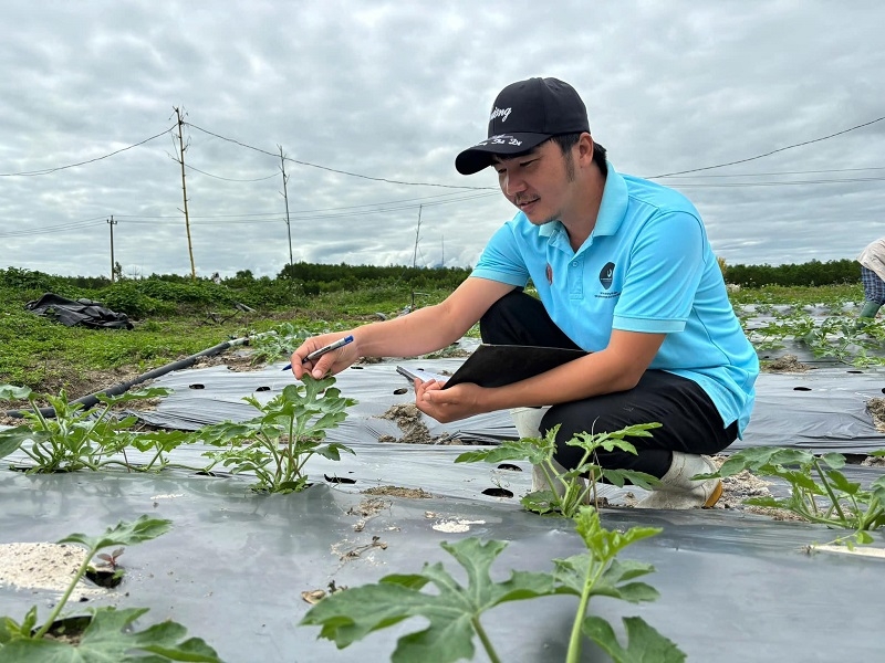 Anh Phạm Hùng Cường luôn ghi chép cẩn thận chế độ chăm sóc từng lứa dưa tại trang trại dưa hấu hữu cơ của mình.