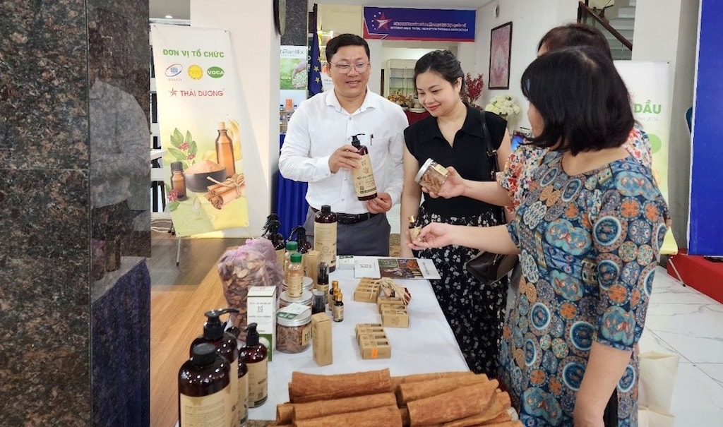 Sản phẩm chế biến từ cây quế của HTX Quế Trà My Minh Phúc thu hút sự quan tâm của người tiêu dùng.