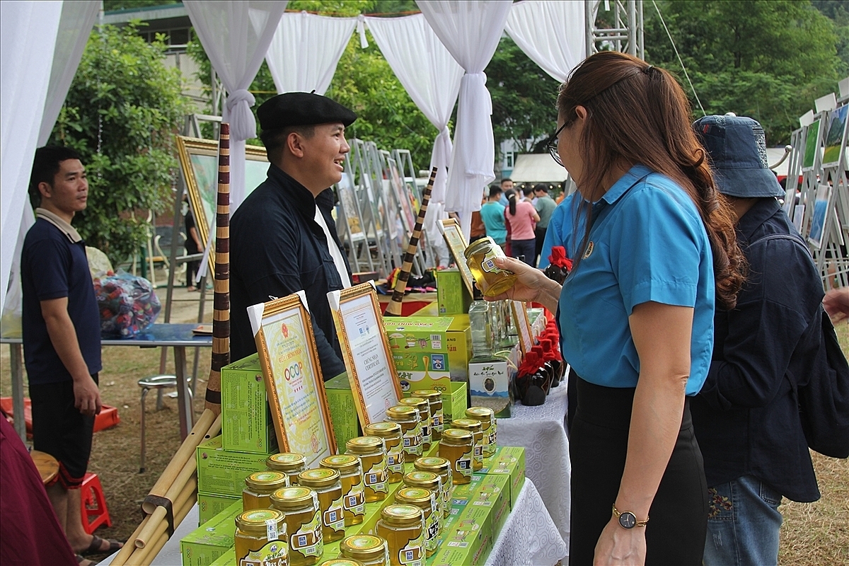 Nhiều đồng bào DTTS ở Bảo Yên đã thành lập và lãnh đạo các HTX.