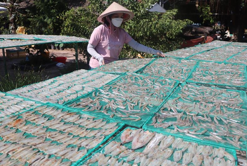 Chế biến cá khô ở huyện Định Quán giúp người dân nâng cao thu nhập.