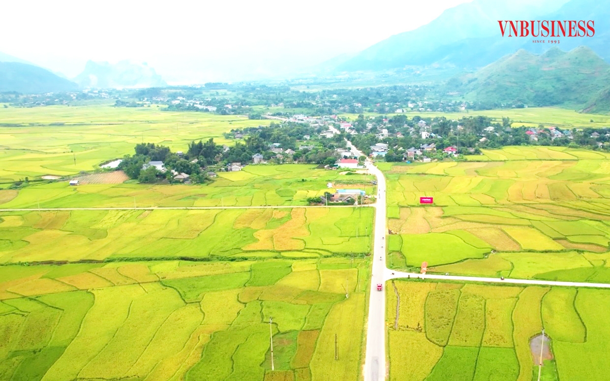 Nhờ sản xuất hiện đại, diện mạo kinh tế nông nghiệp vùng lòng chảo Mường Thanh ngày càng khởi sắc.