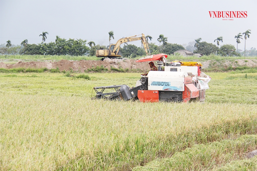 Yên Khánh dự kiến thúc đẩy nông nghiệp theo chuỗi giá trị để giảm nghèo, làm giàu bền vững cho người dân.