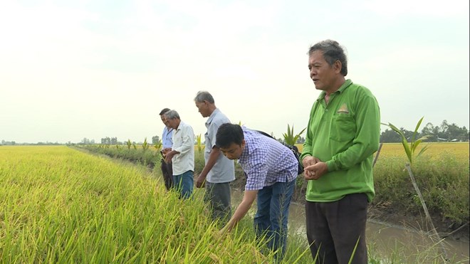 Sự trưởng thành, phát triển của HTX Đường Gỗ Lộ đã chứng minh tính hiệu quả của kinh tế tập thể.