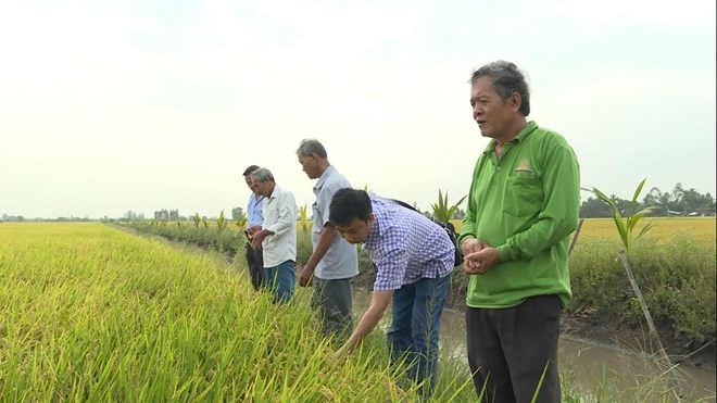 Sự trưởng thành, phát triển của HTX Đường Gỗ Lộ đã chứng minh tính hiệu quả của kinh tế tập thể.