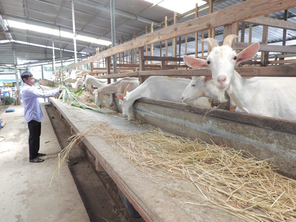 HTX Nông nghiệp Đông Nghi đi vào hoạt động ổn định, đảm bảo chất lượng sản phẩm cung ứng ra thị trường từ đó tạo lập được lòng tin từ khách hàng.