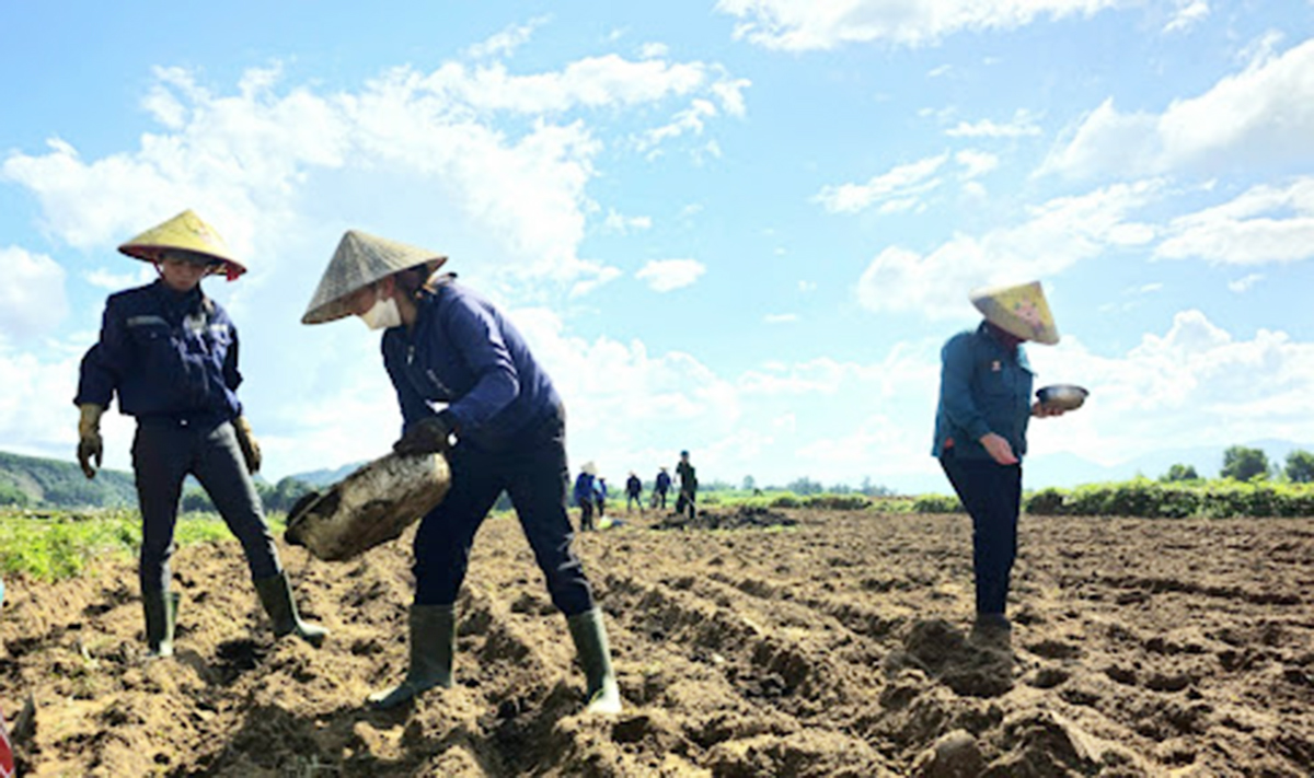 Thay đổi tư duy sản xuất giúp đồng bào dân tộc thiểu số ở Tuyên Hóa nâng cao thu nhập.