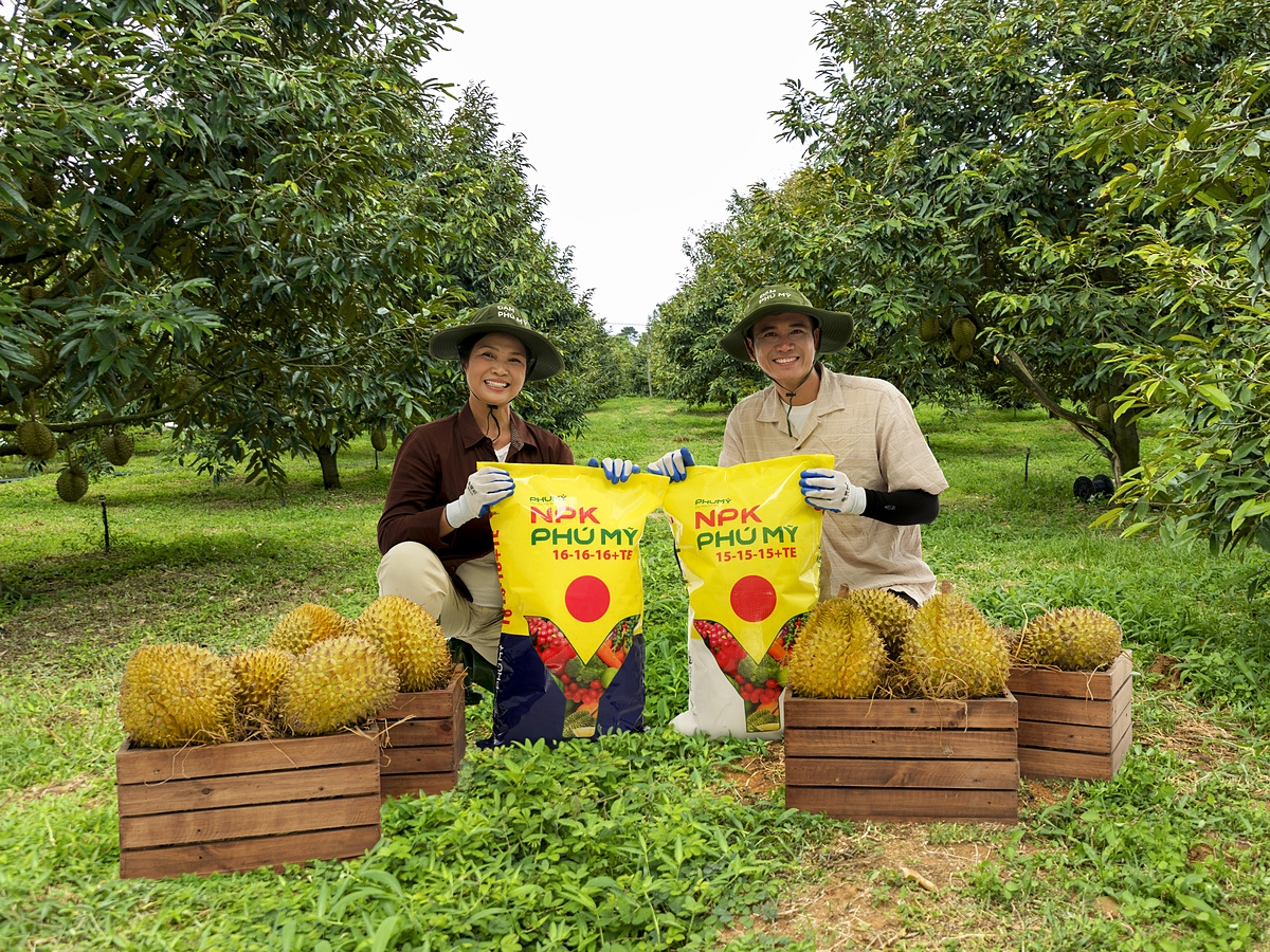 Được sản xuất bằng công nghệ hiện đại, NPK Phú Mỹ bảo đảm hàm lượng Cd cực thấp, giúp kiểm soát tồn dư kim loại nặng, bảo vệ đất và nâng cao chất lượng trái.