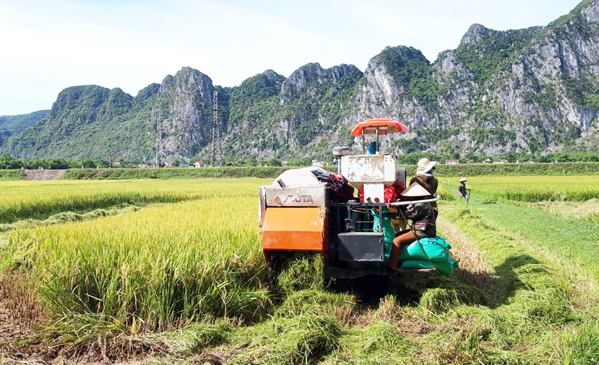 Đồng bào dân tộc thiểu số ở Tuyên Hóa ngày càng mạnh dạn ứng dụng khoa học kỹ thuật vào sản xuất.