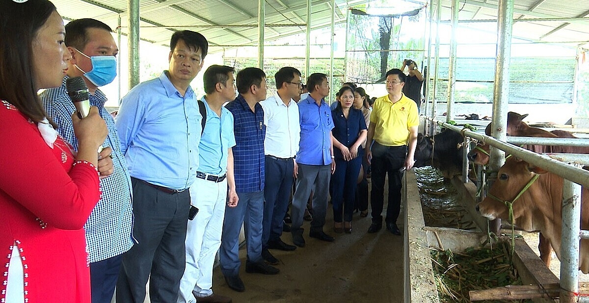 HTX Bò Mông số 11 được nhiều đơn vị đến học tập.