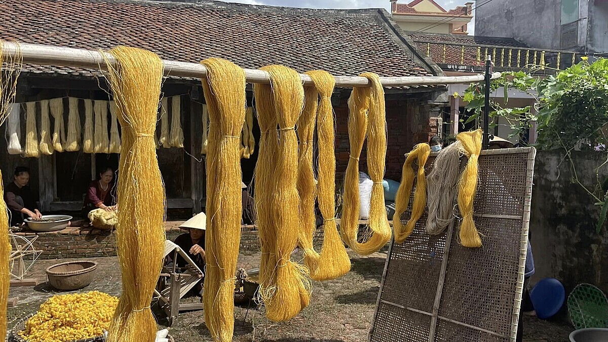 HTX Lụa đũi Nam Cao, Thái Bình định hướng sản xuất xanh, bảo vệ môi trường trong đó áp dụng kỹ thuật nhuộm vải tự nhiên từ cây, quả, củ.