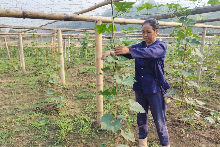 Người dân, HTX ở Yến Dương được tạo điều kiện để phát triển sản xuất, thúc đẩy giảm nghè