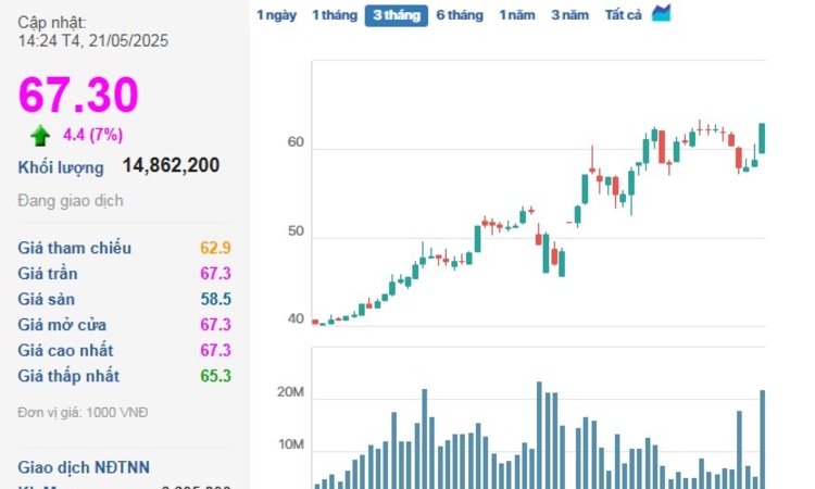 VHM là mã duy nhất trong rổ VN30 có được ‘sắc tím’