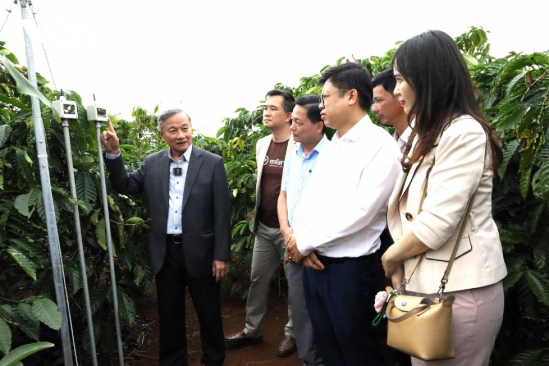 Công nghệ thông minh được ứng dụng vào canh tác cây cà phê ở Đắk Lắk.