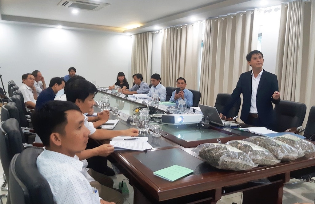 Dự án liên kết chuỗi giá trị sản phẩm chè dây Ra zéh tại xã Tư mang lại cơ hội thoát nghèo cho nhiều người dân địa phương.