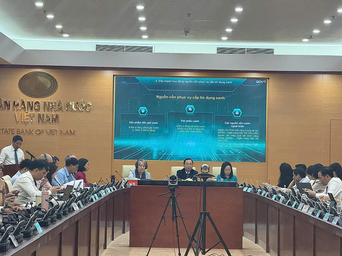 NHNN cho biết tốc độ tăng trưởng bình quân của dư nợ tín dụng xanh giai đoạn 2017–2024 đạt trên 21%/năm, vượt xa tốc độ tăng trưởng tín dụng chung của toàn ngành.