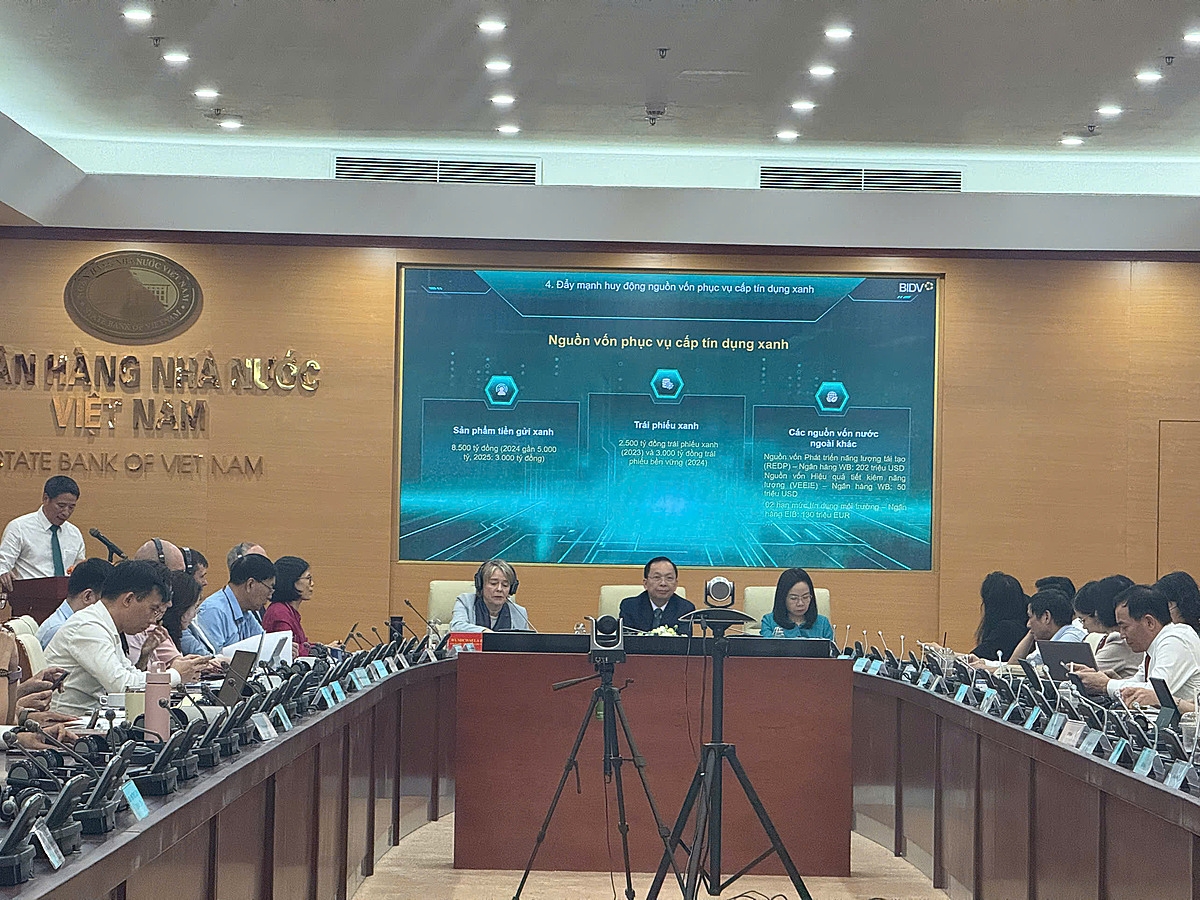 NHNN cho biết tốc độ tăng trưởng bình quân của dư nợ tín dụng xanh giai đoạn 2017–2024 đạt trên 21%/năm, vượt xa tốc độ tăng trưởng tín dụng chung của toàn ngành.