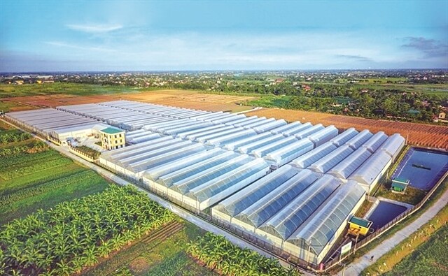 Mặc dù ghi nhận kết quả kinh doanh tích cực, bảng cân đối kế toán của Pan Farm lại cho thấy mức tăng đột biến của nợ vay.