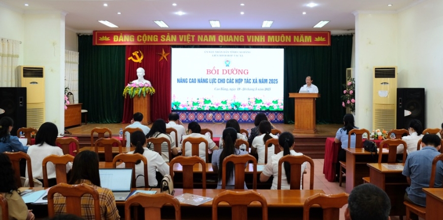 Đào tạo, bồi dưỡng về HTX ở Trùng Khánh được quan tâm.