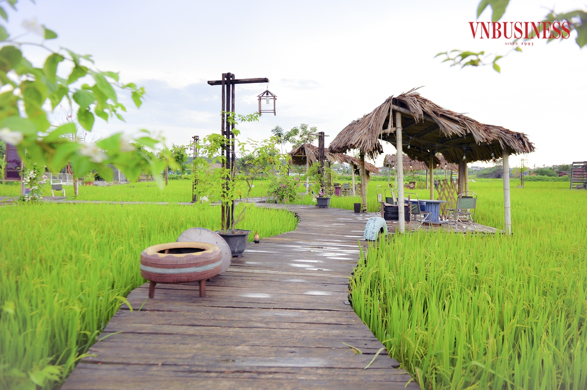 “Tôi muốn tạo ra một không gian để mọi người có thể thư giãn, hít thở không khí trong lành của đồng quê,” chị Trâm Anh tâm sự.