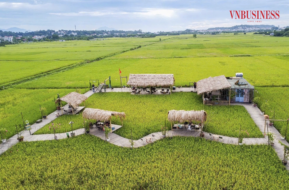 Với diện tích gần 2.000m2, nằm giữa cánh đồng làng, quán cà phê chỉ đơn giản với 5 chiếc chòi lợp lá cọ, không điều hòa, không máy lạnh, hòa mình hoàn toàn với thiên nhiên đã thực sự khiến khách đến quán vô cùng thích thú.