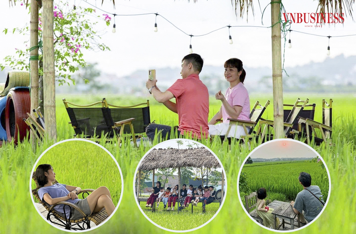 Trung bình quán thu hút khoảng 150 khách mỗi ngày, vào dịp cuối tuần và đặc biệt là thời điểm lúa chín vàng con số này tăng lên đến 500-600 khách đến để thưởng thức cà phê và ngắm cảnh đồng quê.