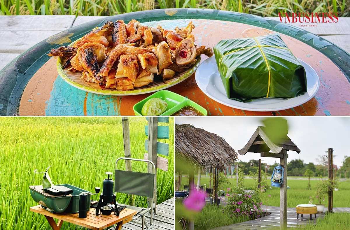 Đây là thời điểm cánh đồng lúa chuyển dần từ xanh sang vàng, chuẩn bị bước vào mùa gặt. Ngoài cà phê và các loại đồ uống, thực khách còn được thưởng thức những bữa ăn đậm chất hương đồng gió nội, hít hà hương lúa thơm nồng.