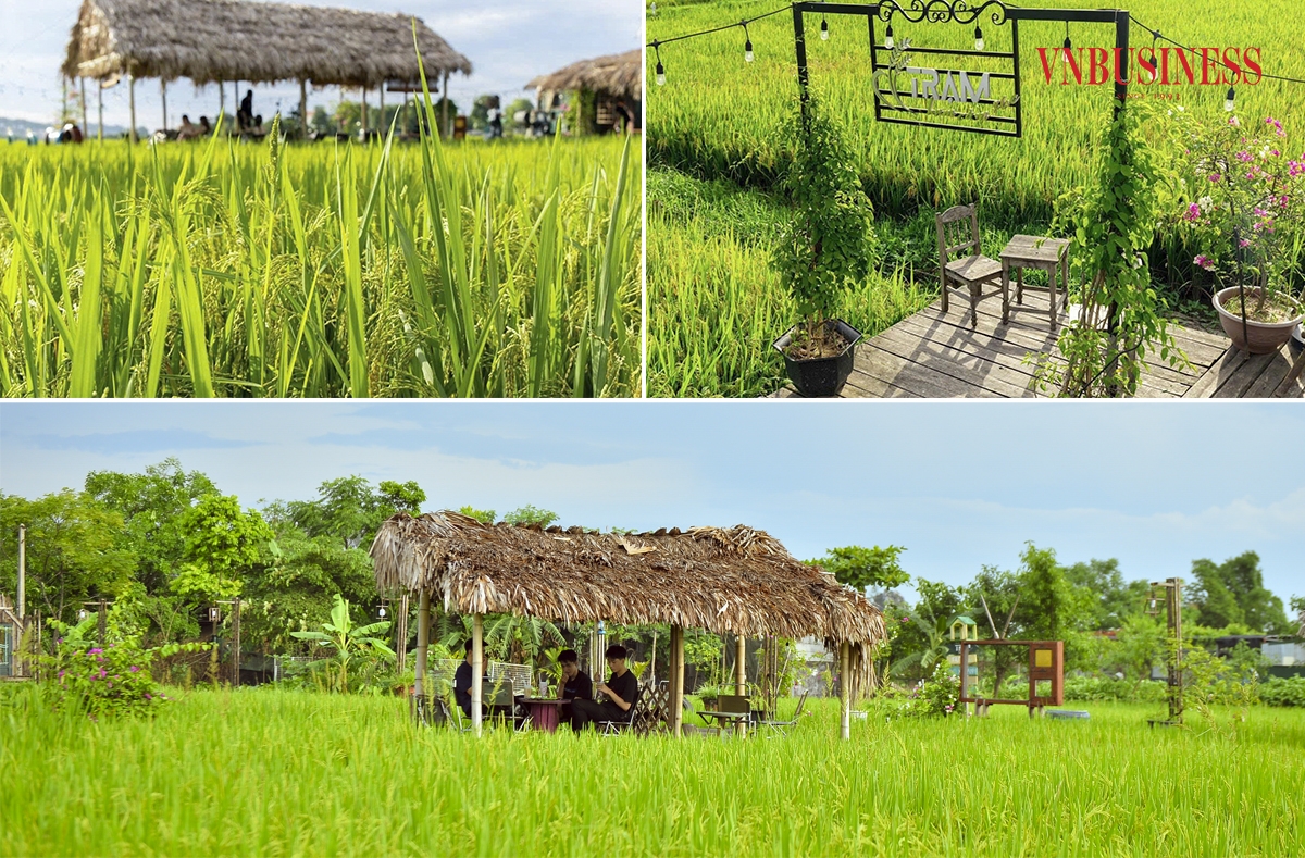 Không gian thoải mái, rất thơ mộng, lại được hòa mình với thiên nhiên nên các khách hàng trẻ tuổi luôn ghé qua mỗi khi rảnh.