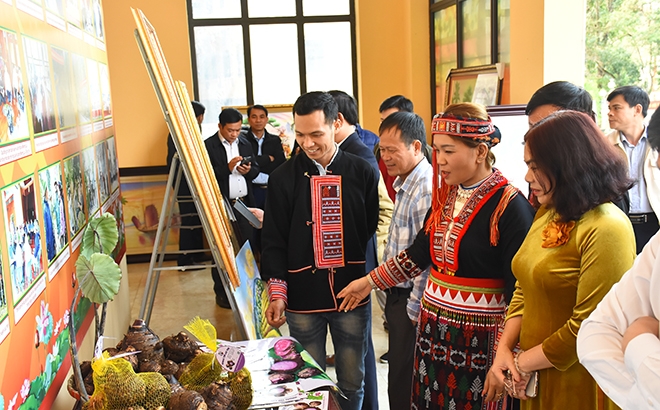 Những mặt hàng, sản phẩm đặc sản hình thành từ chăn nuôi, trồng trọt được nâng tầm về chất lượng, mẫu mã, giá trị và mở rộng thị trường tiêu thụ.