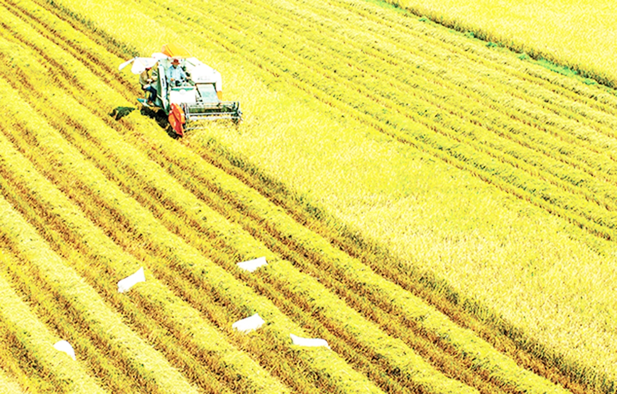 Nông nghiệp công nghệ cao là điểm tựa giúp HTX, nông dân ở Đồng Nai làm giàu.