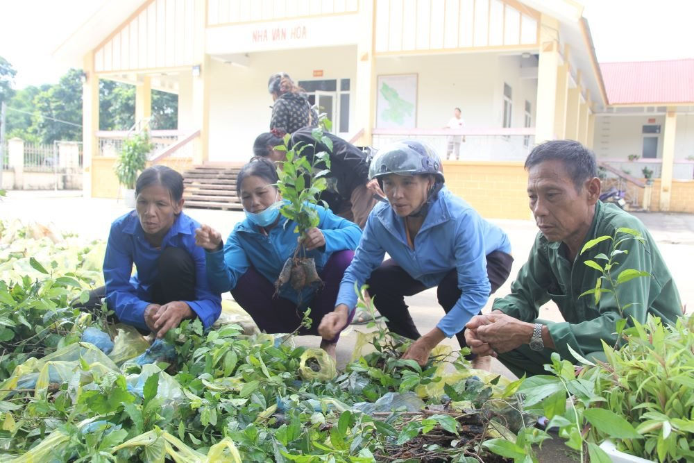 Lao động làm việc trong HTX thu nhập bình quân 62,8 triệu đồng/năm