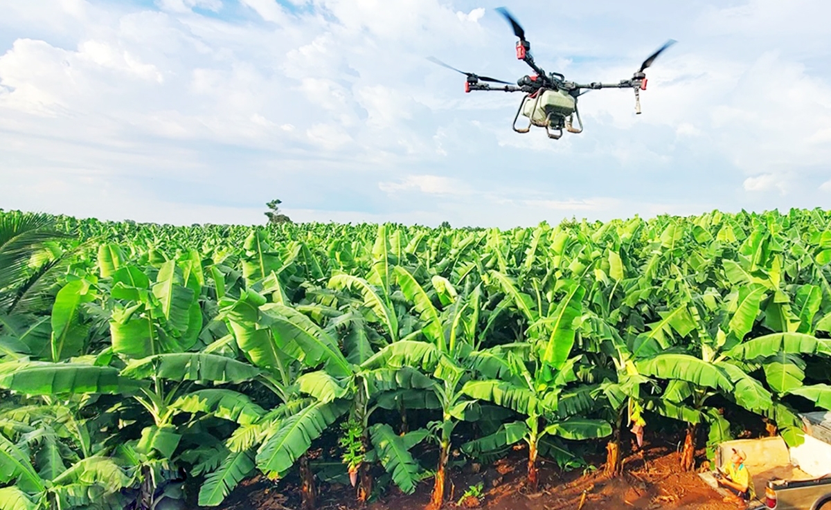 Nông nghiệp công nghệ cao đang lan tỏa rộng khắp các địa phương tỉnh Đồng Nai, với những dấu ấn đậm nét của các HTX.