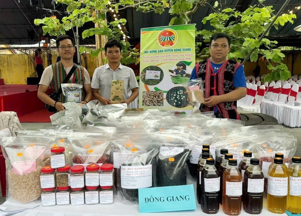 Các sản phẩm đặc trưng của huyện Đông Giang cần được phát triển mạnh hơn nữa theo chuỗi giá trị với “đầu kéo” HTX để nâng ý chí thoát nghèo cho người dân địa phương.