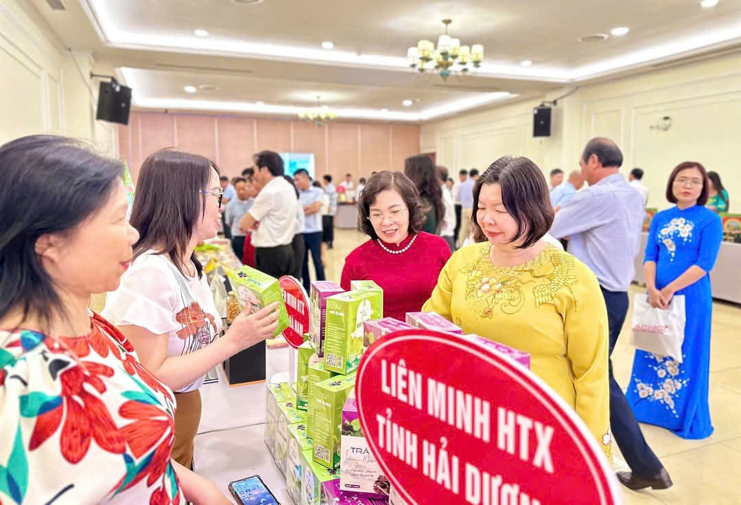 Chủ tịch Liên minh HTX Việt Nam Cao Xuân Thu Vân thăm gian hàng trưng bày của các HTX tại Diễn đàn.