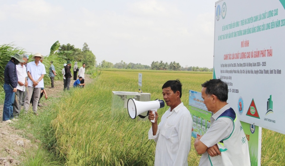 Tham gia Đề án, HTX nông nghiệp Phước Hảo có lợi nhuận tăng từ 20 - 25% so với ngoài mô hình, tương đương với 6,22 - 7,63 triệu đồng/ha.