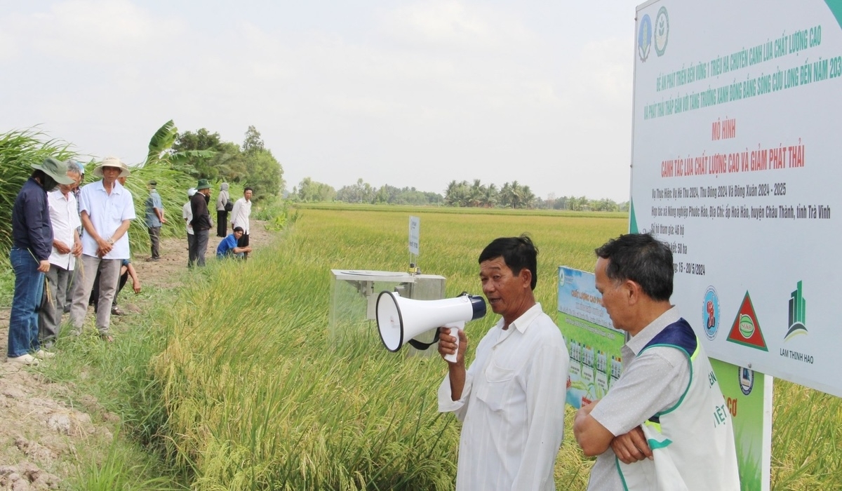 Tham gia Đề án, HTX nông nghiệp Phước Hảo có lợi nhuận tăng từ 20 - 25% so với ngoài mô hình, tương đương với 6,22 - 7,63 triệu đồng/ha.