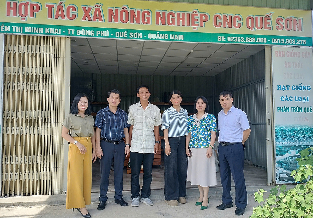 Cán bộ Liên minh HTX Việt Nam làm việc với HTX Nông nghiệp cao Quế Sơn ngày 23/5/2025.