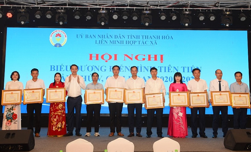 Các điển hình tiên tiến xuất sắc trong hệ thống Liên minh HTX tỉnh.
