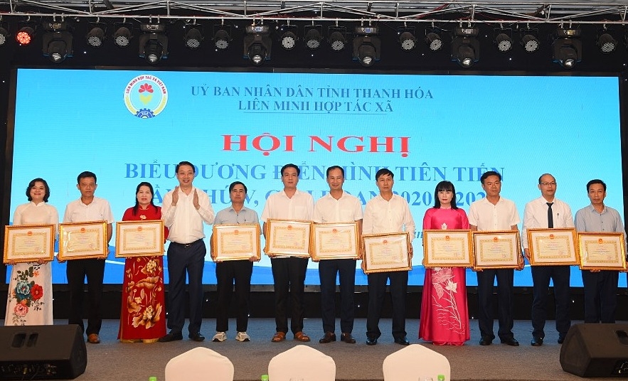 Các điển hình tiên tiến xuất sắc trong hệ thống Liên minh HTX tỉnh.