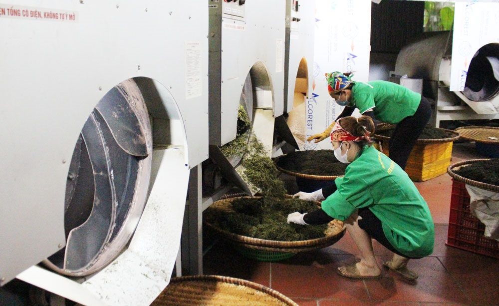 Nhiều HTX ở Phú Lương đã mạnh dạn đầu tư máy móc vào sản xuất, kinh doanh, góp phần đưa nông sản Thái Nguyên bay xa.