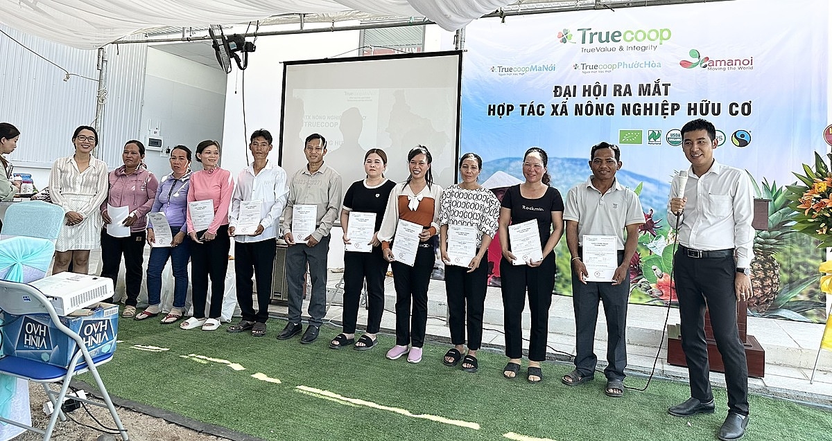 HTX Điều hữu cơ TrueCoop đã liên kết với hơn 1800 hộ dân trồng bao thu mua hạt điều thô.