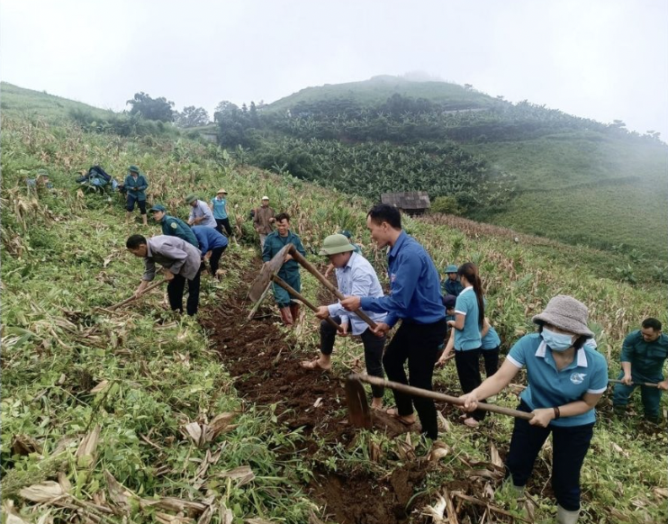 Người dân xã A Lù đồng thuận mở rộng diện tích thâm canh cây chè theo hướng hàng hóa.