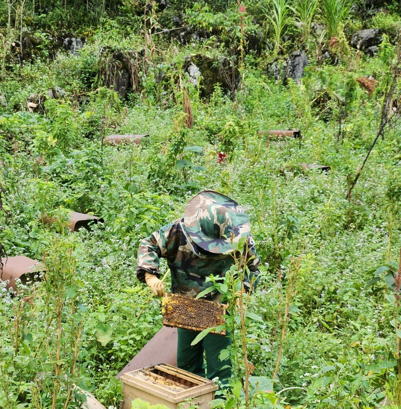 Sản xuất và tiêu thụ mật ong thông qua thương mại điện tử được HTX Hà An Thành Ma Tủng áp dụng khá hiệu quả.