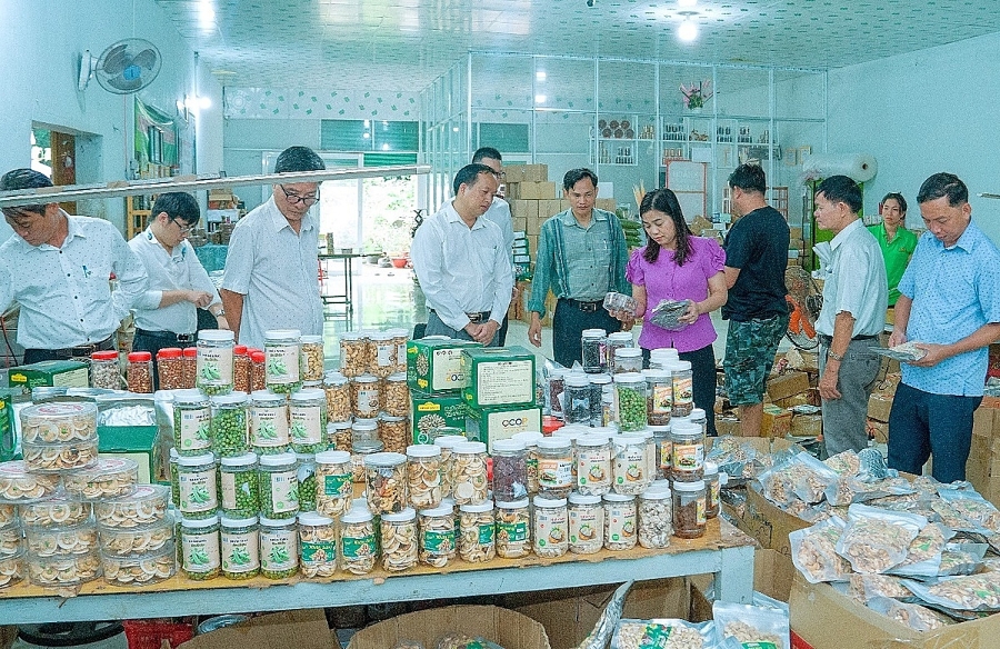 HTX sản xuất chế biến điều Thanh An đã thu hút được doanh nghiệp làm thành viên, tạo thuận lợi cho sản xuất, kinh doanh theo chuỗi.