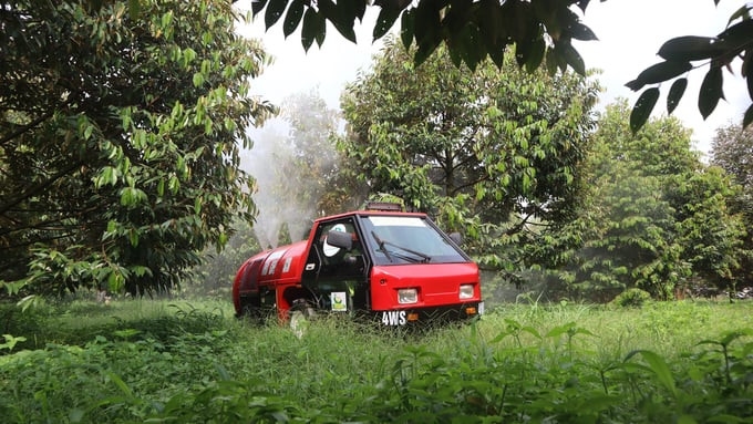 HTX Long Phú phát cỏ bằng máy móc và được hỗ trợ sản xuất sầu riêng theo quy trình hữu cơ để xuất khẩu sang Trung Quốc.